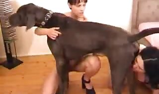 sluts
