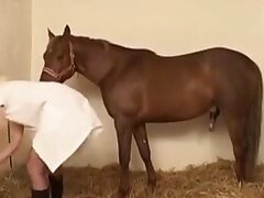 Free Animal porn video and bestiality